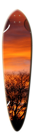 Design 62270 Skateboards, Longboards and Grip Tape