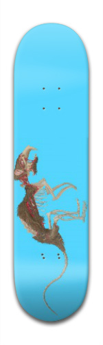 Design 63255 Skateboards, Longboards and Grip Tape