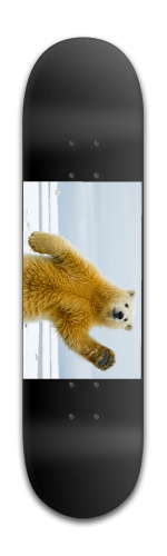 Design 63157 Skateboards, Longboards and Grip Tape