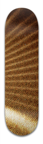Design 72424 Skateboards, Longboards and Grip Tape