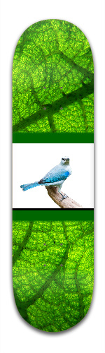 Design 73628