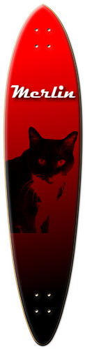 Design 75813 Skateboards, Longboards and Grip Tape