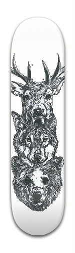 Design 76598 Skateboards, Longboards and Grip Tape