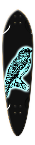 Design 70064 Skateboards, Longboards and Grip Tape