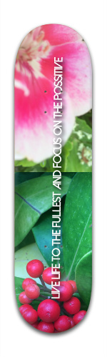 Design 79284 Skateboards, Longboards and Grip Tape Image