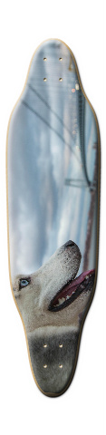Design 80860 Skateboards, Longboards and Grip Tape