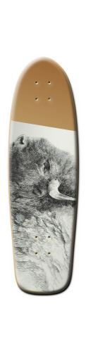 Design 78163 Skateboards, Longboards and Grip Tape
