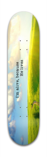 Design 78300 Skateboards, Longboards and Grip Tape Image