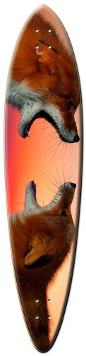 Design 78514 Skateboards, Longboards and Grip Tape