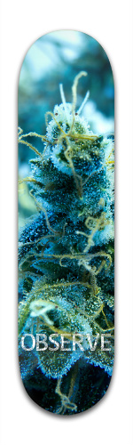 Design 86915 Skateboards, Longboards and Grip Tape Image