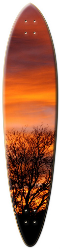Design 88151 Skateboards, Longboards and Grip Tape