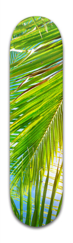 Design 88932 Skateboards, Longboards and Grip Tape