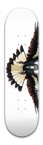 Design 91777