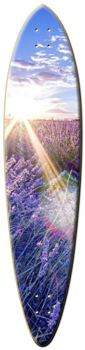 Design 86626 Skateboards, Longboards and Grip Tape