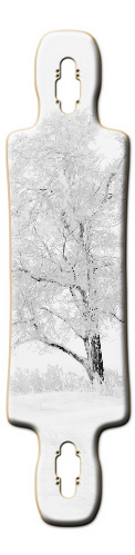 Design 95792 Skateboards, Longboards and Grip Tape Image