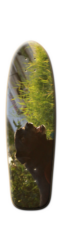 Design 95907 Skateboards, Longboards and Grip Tape Image