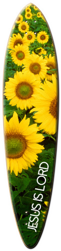 Design 99175 Skateboards, Longboards and Grip Tape Image