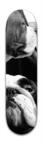 Design 92635 Skateboards, Longboards and Grip Tape