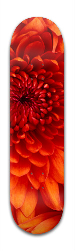 Design 92618 Skateboards, Longboards and Grip Tape