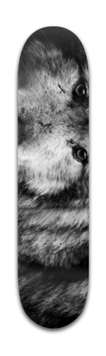 Design 104083 Skateboards, Longboards and Grip Tape