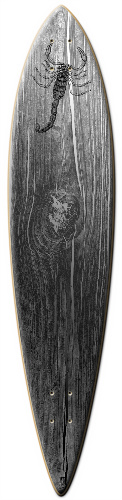 Design 101299 Skateboards, Longboards and Grip Tape