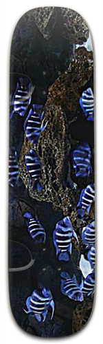 Design 109867 Skateboards, Longboards and Grip Tape