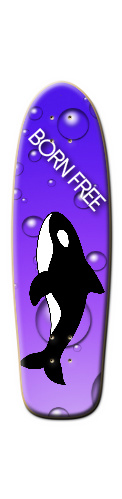 Design 110292 Skateboards, Longboards and Grip Tape