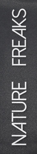 Design 111005 Skateboards, Longboards and Grip Tape Image