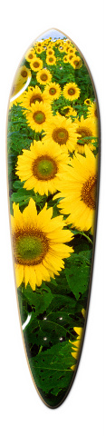 Design 111044 Skateboards, Longboards and Grip Tape Image