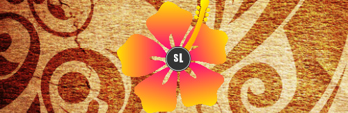 Aloha Skateboards, Longboards and Grip Tape Image