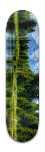 Design 112056 Skateboards, Longboards and Grip Tape