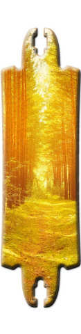 Design 106869 Skateboards, Longboards and Grip Tape