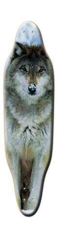 Design 112225