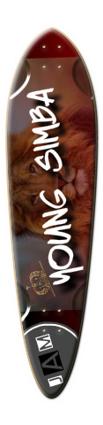 Design 112778 Skateboards, Longboards and Grip Tape Image