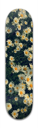Design 113262 Skateboards, Longboards and Grip Tape Image