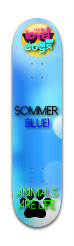 house.sommer.final