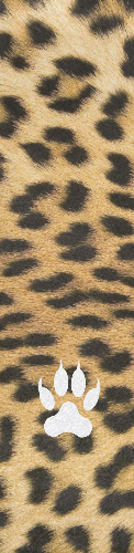 Design 114007 Skateboards, Longboards and Grip Tape