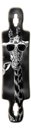 Design 115037 Skateboards, Longboards and Grip Tape