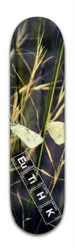 Design 109017 Skateboards, Longboards and Grip Tape Image