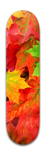 Design 150979