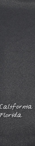 Design 151433