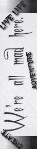 Design 147681