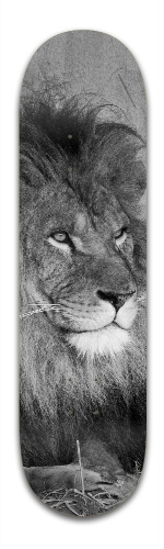 Design 148163 Skateboards, Longboards and Grip Tape Image