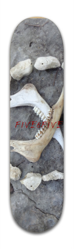Design 148919