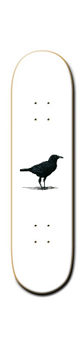 Design 149189 Skateboards, Longboards and Grip Tape