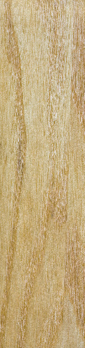 Design 149370 Skateboards, Longboards and Grip Tape