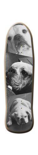 Design 231427 Skateboards, Longboards and Grip Tape