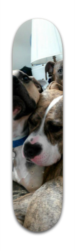 Design 233395 Skateboards, Longboards and Grip Tape