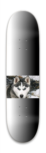 wolf Skateboards, Longboards and Grip Tape Image