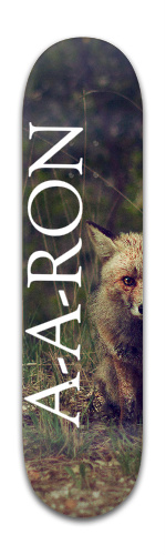 Design 233958 Skateboards, Longboards and Grip Tape